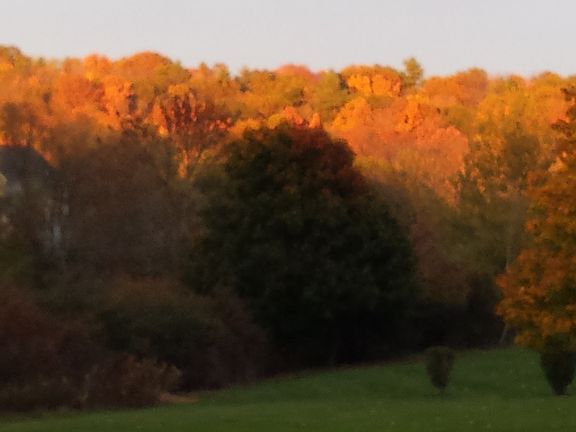 View from rear balcony