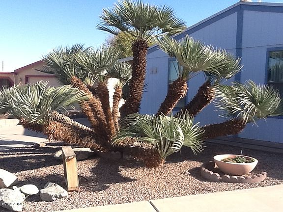 2nd image of 9106 E SUN LAKES Boulevard #S