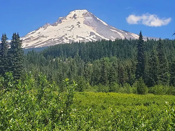 E Perry Vickers Rd, Government Camp, OR 97028