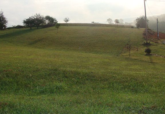 5th image of Carterville Heights