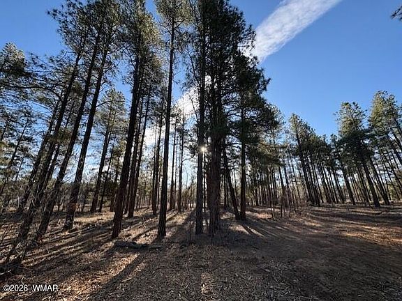 5th image of 2360 Narrow Leaf Ln Lot 15