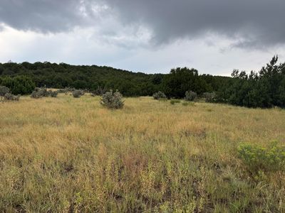 Reins Rd Lot 51, Walsenburg, CO, 81089