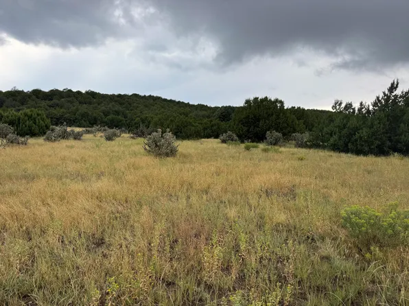 Reins Rd Lot 51, Walsenburg, CO 81089