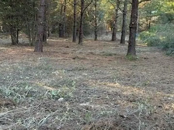 29 Jennie Ln, Picayune, MS 39466