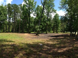 0 Pinopolis Rd, Pinopolis, SC 29469