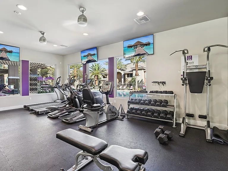 Fitness Center Weight and Resistance Equipment
