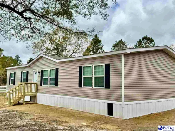 2001 Doe Trl, Dillon, SC 29536