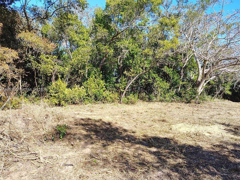 2nd image of 3505 Bethune Rd