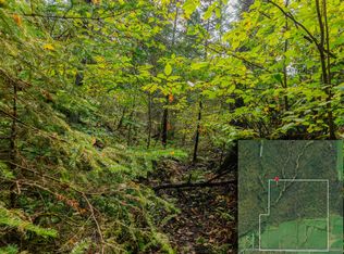 22758 S Chub Creek Rd LOT 2, Rudyard, MI 49780