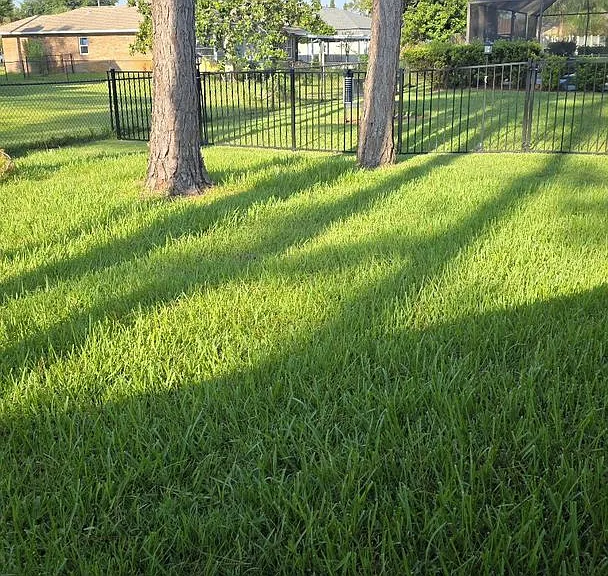 24 Wellside Ln — Photo 23
