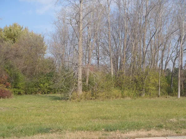 0 Linden Rd, Swartz Creek, MI 48473