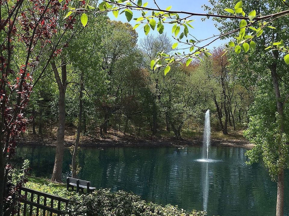 Lovely Pond