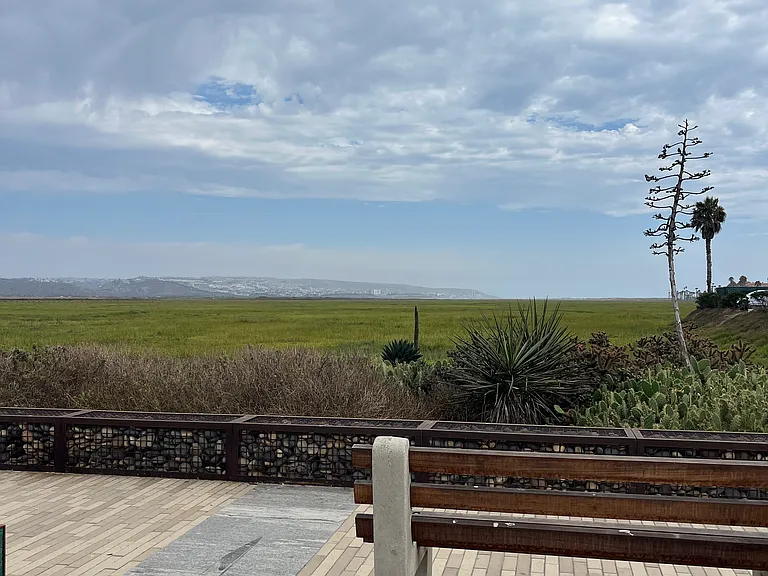 Estuary across the street