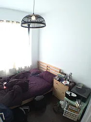 Rented by P Management