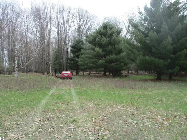 0 Peterson Rd, Prescott, MI 48756
