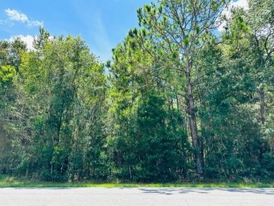 705 SW 4th Ave, Chiefland, FL, 32626