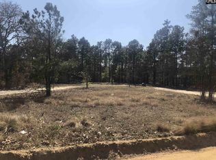 207 Felix Dr, Leesville, SC 29070