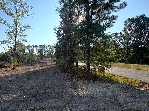 3rd image of 0 Amber Acres