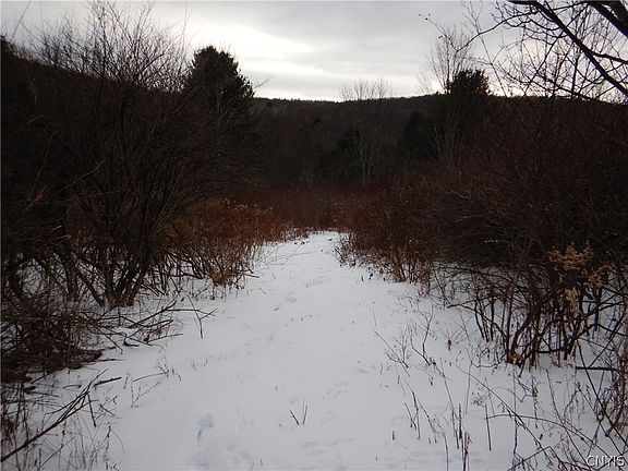 5th image of Newark Valley Maine Rd