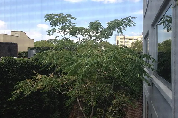 Rented by Corcoran | media 51