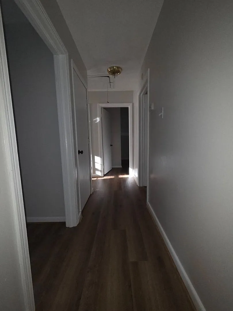 1110 Elizabeth Street — Photo 4