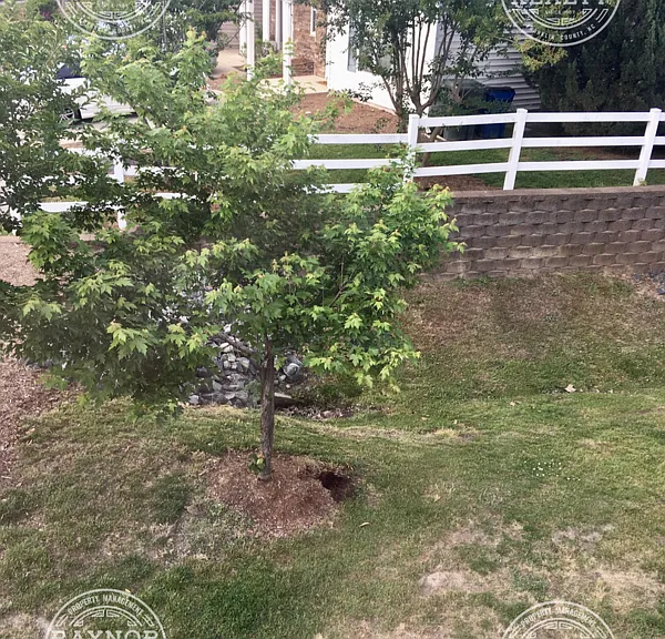 5131 Thornton Knoll Way — Photo 10