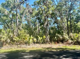 5261 E Tangelo Ln, Inverness, FL 34453