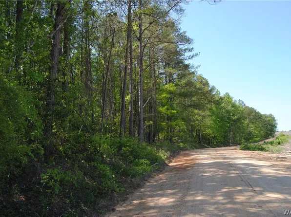 0 Howton Rd, Fayette, AL 35555