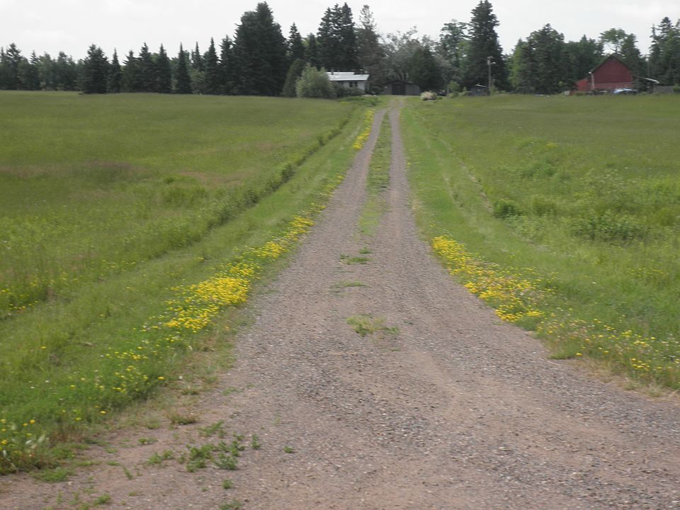 View from road