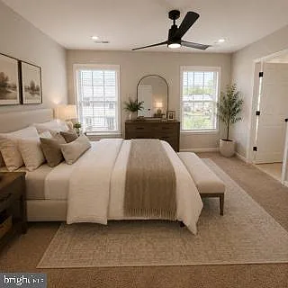 100 Sand Dollar Cv — Photo 14