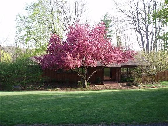 Front Apple Blossoms