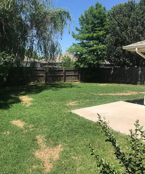 Back yard