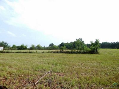 Oak St, Troup, TX, 75789