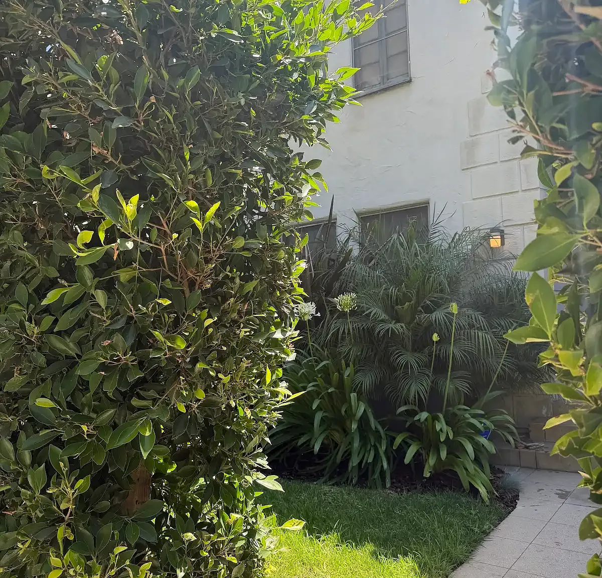 1 bed, 750 sqft, $2,850 — Photo 3