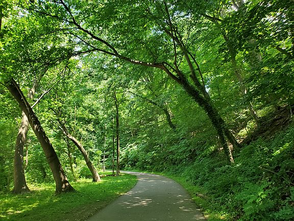 Local Trail