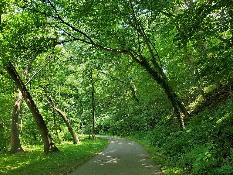 Local Trail