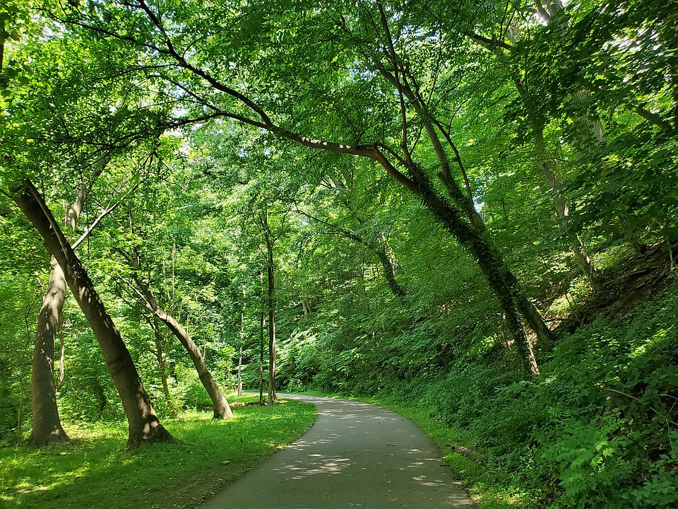 Local Trail