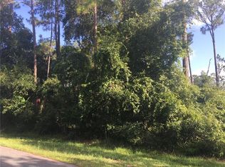 13021 S Lake Mary Jane Rd, Orlando, FL 32832