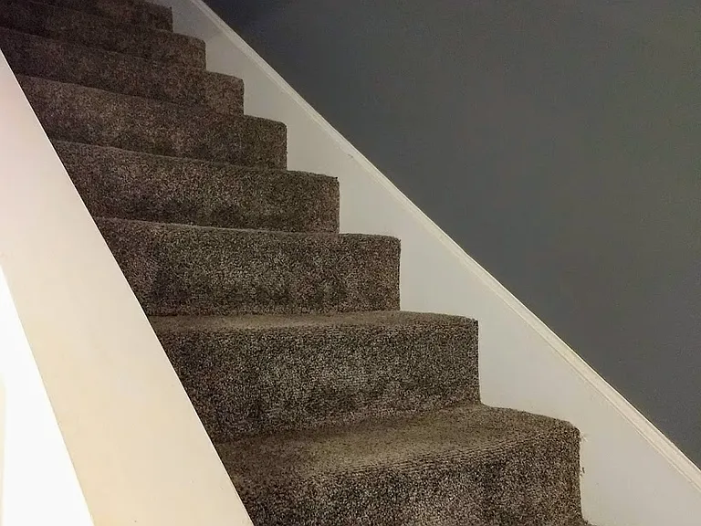 51 Wilshire Heights Dr #1 — Photo 10