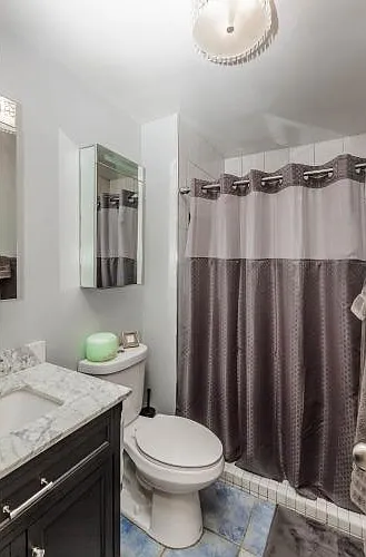 3930 N Pine Grove Ave #1501 — Photo 17
