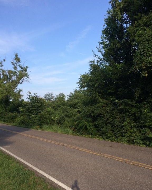 2nd image of 6311 Ridgeview Rd