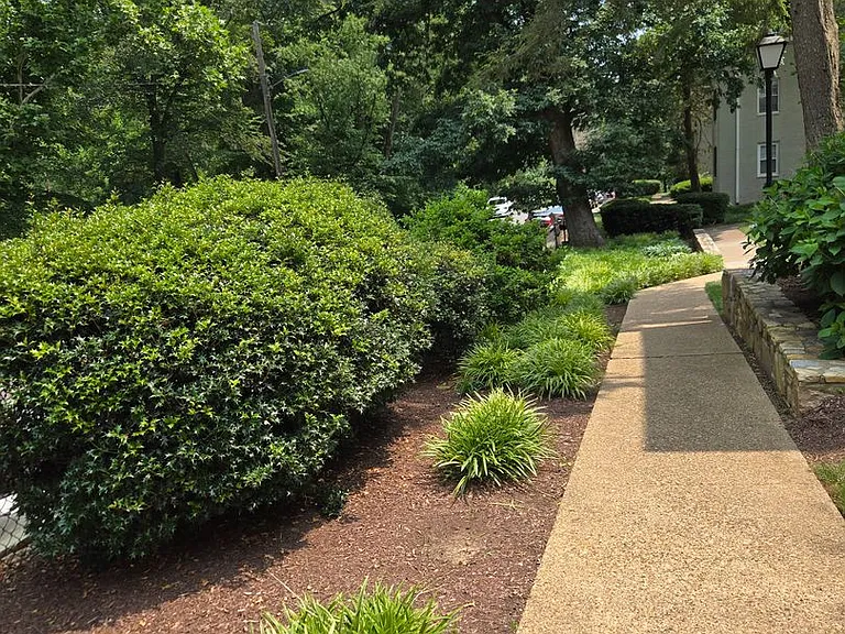 808 S Arlington Mill Dr #303 — Photo 5