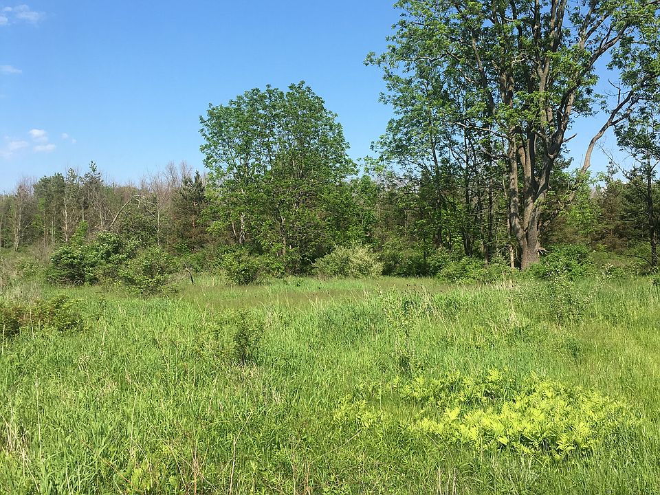 Mix of fields and forest