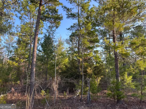 4 Horne Rd, Roberta, GA 31078