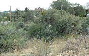 2nd image of 5095 E Sapphire Dr