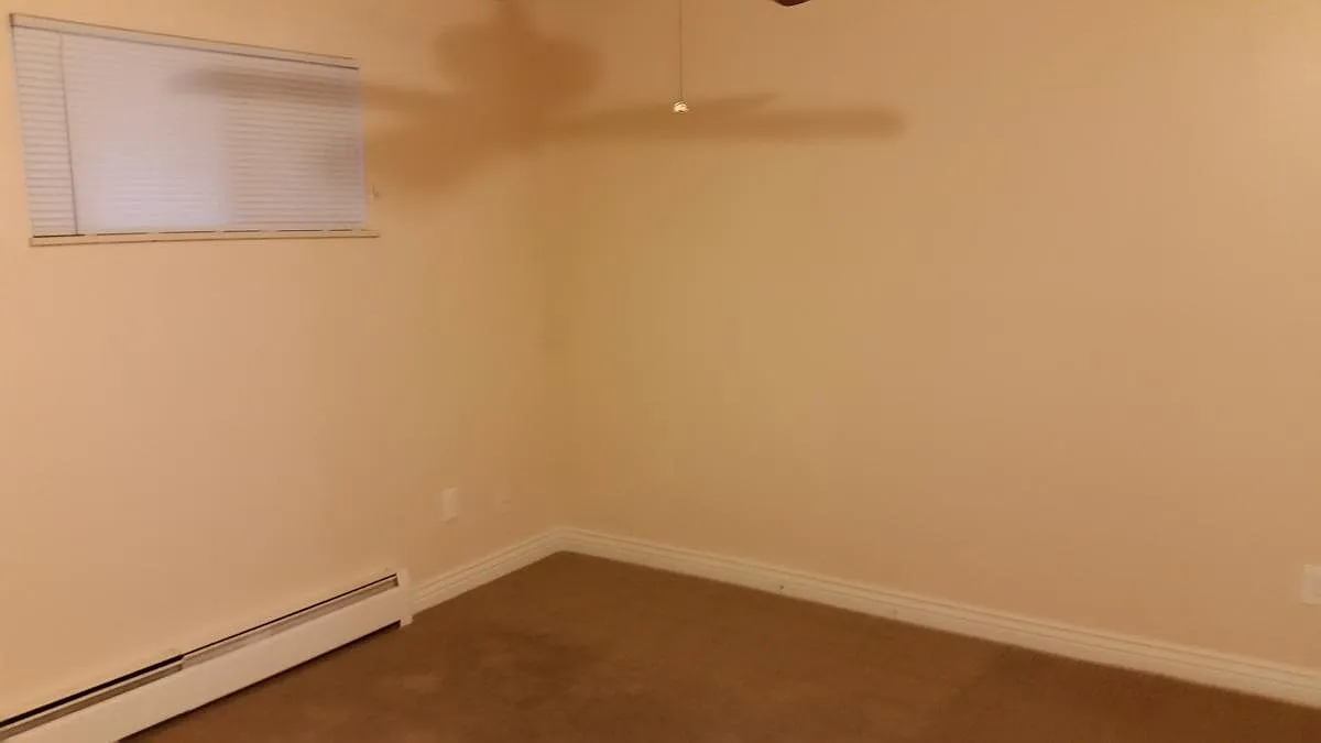 1 bed, 480 sqft, $1,500 — Photo 2
