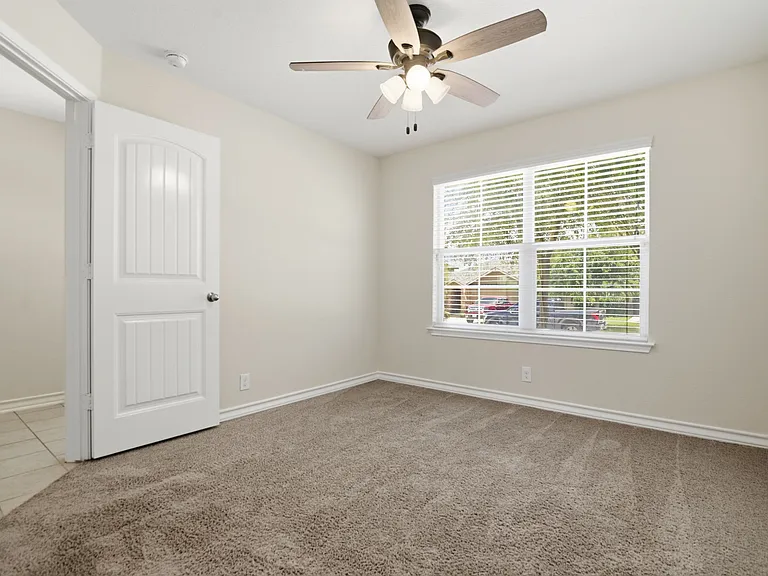 15441 Cooks Petrel — Photo 14
