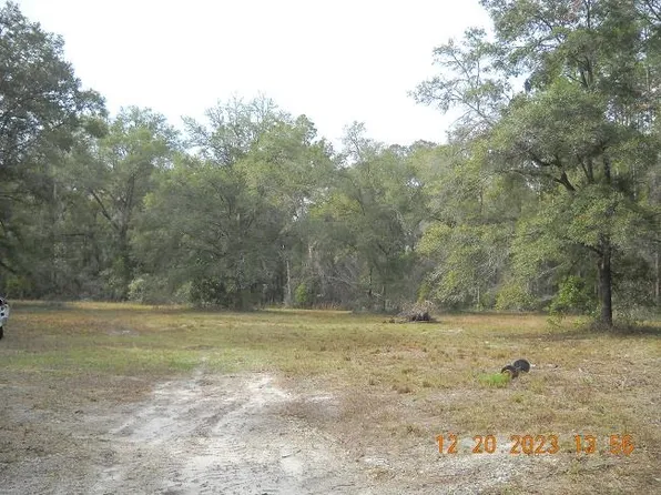 862 NE 694th St, Old Town, FL 32680