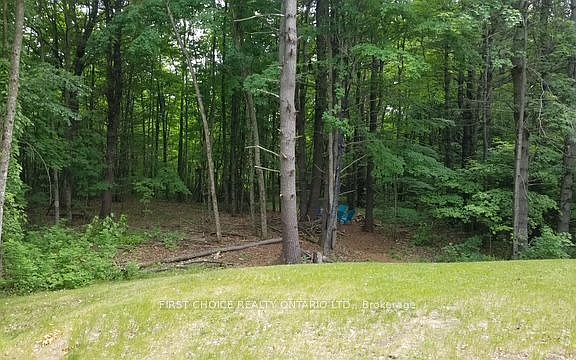 2nd image of 229 Norris Rd