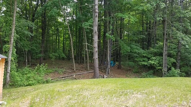 2nd image of 229 Norris Rd